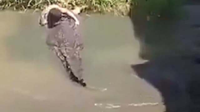 Turista invade área restrita de parque, desrespeitando normas de segurança. Reprodução: iG