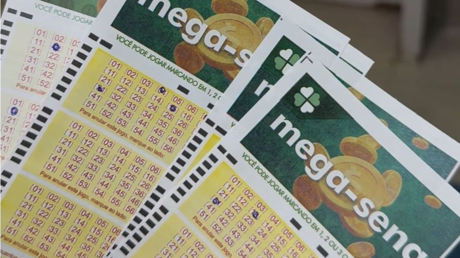 Sete apostas do Paraná acertaram cinco números na Mega-Sena e ganharam prêmios. Reprodução: Ana Lídia Araújo/g1