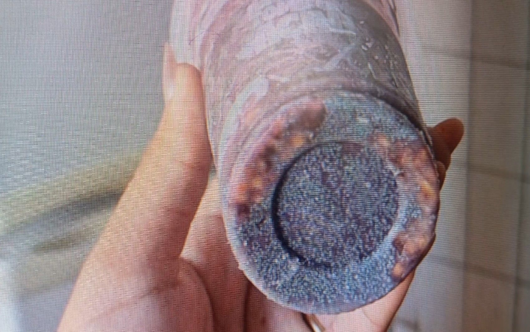 Imagem ligada ao caso de envenenamento de açaí em SP. Reprodução: G1