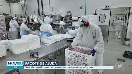 Setor de pescado de Rifaina avalia medidas do governo Lula para enfrentar restrições às exportações. Reprodução: Globo
