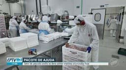 Setor de pescado de Rifaina avalia medidas do governo Lula para enfrentar restrições às exportações. Reprodução: Globo