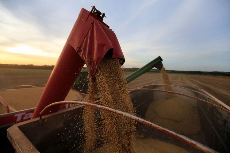 Governo destina R$ 7,15 bilhões para escoamento de grãos