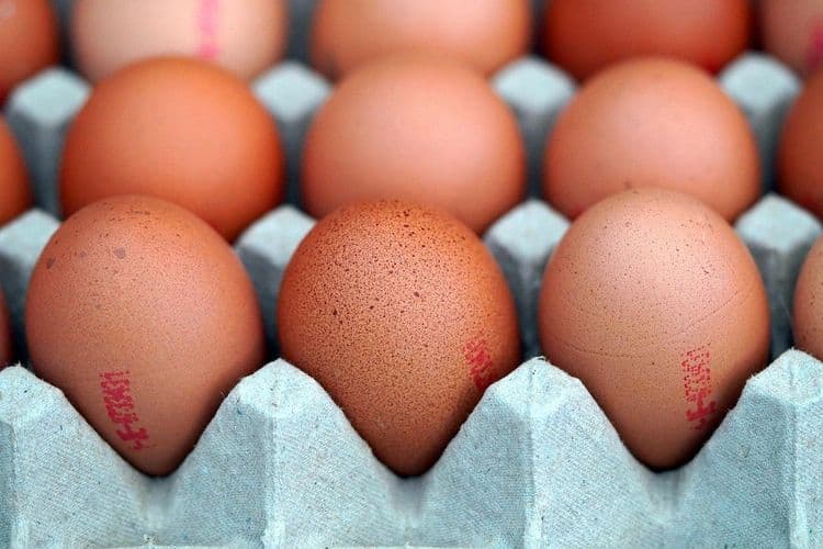 Alta nos preços dos ovos afeta Brasil e EUA