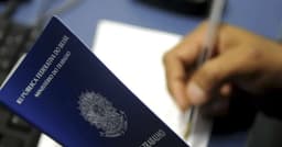 Crescimento de empregos formais no Brasil em 2024