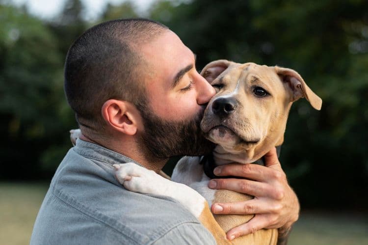 Estudo revela semelhanças entre cães e seus tutores, afetando vínculos emocionais e comportamentos.; Reprodução: The Conversation Brasil
