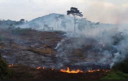 Queda de 46% nos focos de incêndio em comparação ao primeiro semestre de 2024 na Amazônia.; Reprodução: Globo