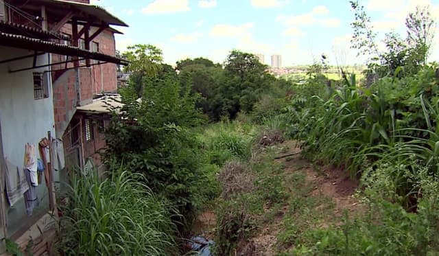 Censo 2022 aponta características do entorno das favelas de Campinas. Reprodução: G1