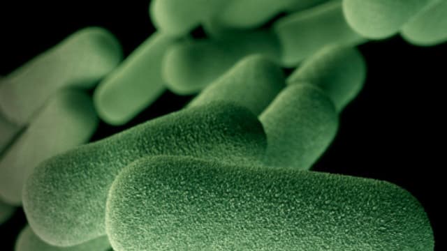 Cientistas analisam dados de 204 países em novo estudo. Reprodução: iG