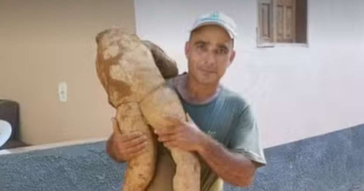 Mandioca em formato humano encanta agricultores no Espírito Santo
