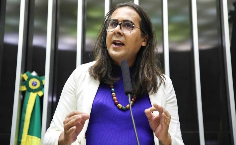 Deputada Veta Anistia a Envolvidos no Golpe de 1964