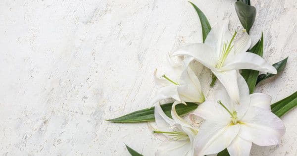 Kuriyama é o diretor da série de 22 filmes adaptados de mangás. Legenda da imagem. Reprodução: Anime News Network