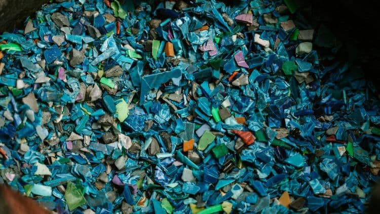 Perigos dos microplásticos à saúde e meio ambiente