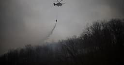 Incêndios Florestais na Coreia do Sul: Emergência Climática