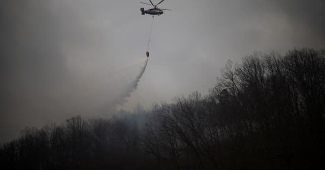 Incêndios Florestais na Coreia do Sul: Emergência Climática
