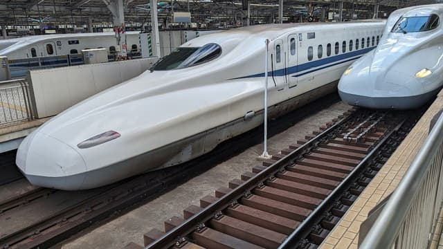 Animal se enrosca em linha de transmissão de energia. Reprodução: IG.