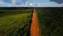 [ONGs acionam a Justiça contra derrubada de vetos do Licenciamento Ambiental]. Reprodução: Oglobo