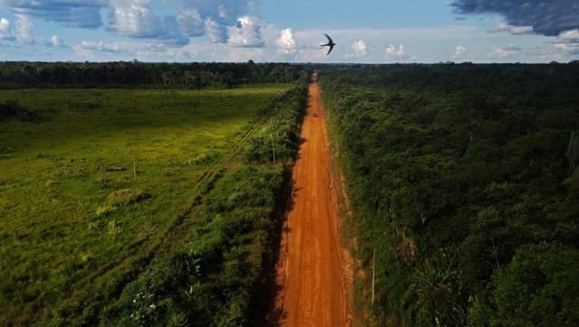 [ONGs acionam a Justiça contra derrubada de vetos do Licenciamento Ambiental]. Reprodução: Oglobo