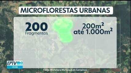 Campinas lança microflorestas urbanas para combater ilhas de calor. Legenda da imagem. Reprodução: Retorno do item 11