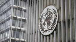 OMS Cortará 20% do Orçamento Após Saída dos EUA