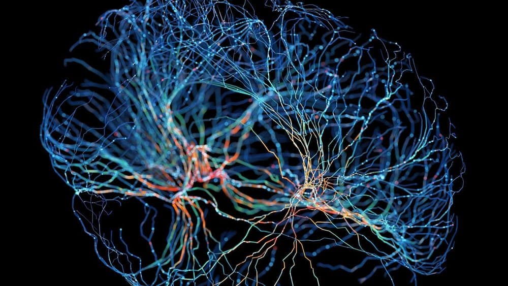 Cientistas discutem a possibilidade de extrair ou transferir memórias de cérebros preservados. Reprodução: Gizmodo
