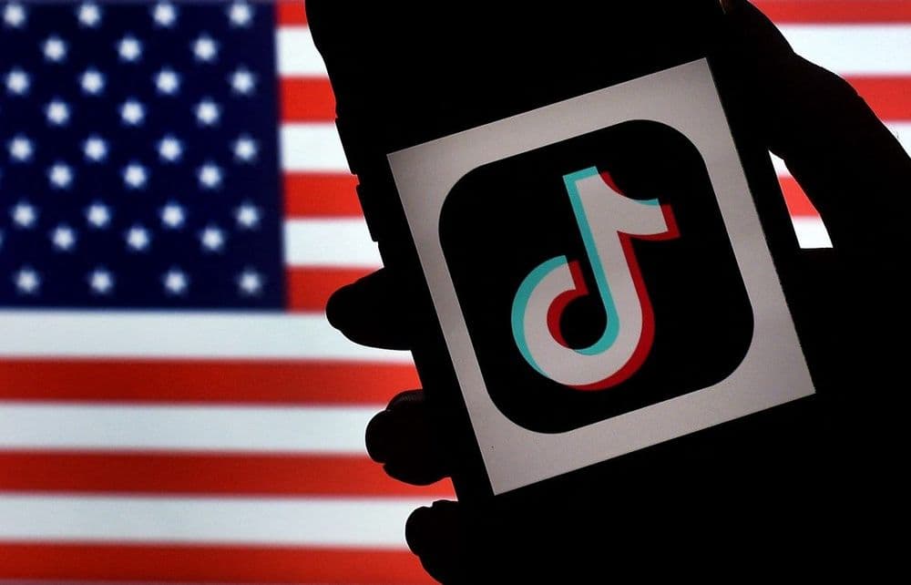Líderes do setor disputam a compra do TikTok amid controversies nos EUA. Reprodução: TechCrunch