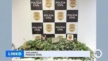 Homem de 32 anos é preso com 20 kg de maconha em São José dos Campos. Reprodução: Globo