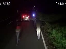 Polícia deflagra operação contra grupo suspeito de roubos de carga na BR-116, causando R$ 3 milhões em prejuízos. Reprodução: Globo