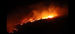 Incêndios florestais devastam área rural na Síria